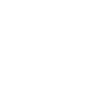 icon-innovationskompetenz